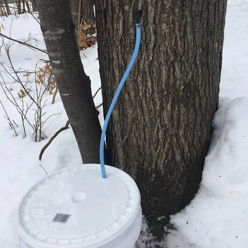 Maple Sap Tapping Kit - Six or Twelve Sets