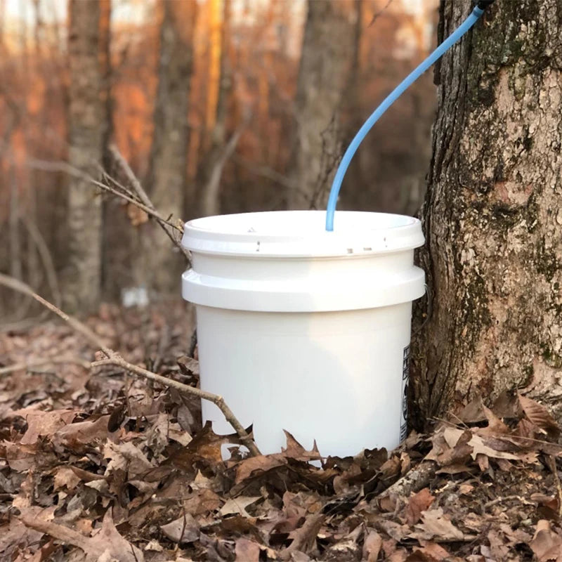 Maple Sap Tapping Kit - Six or Twelve Sets