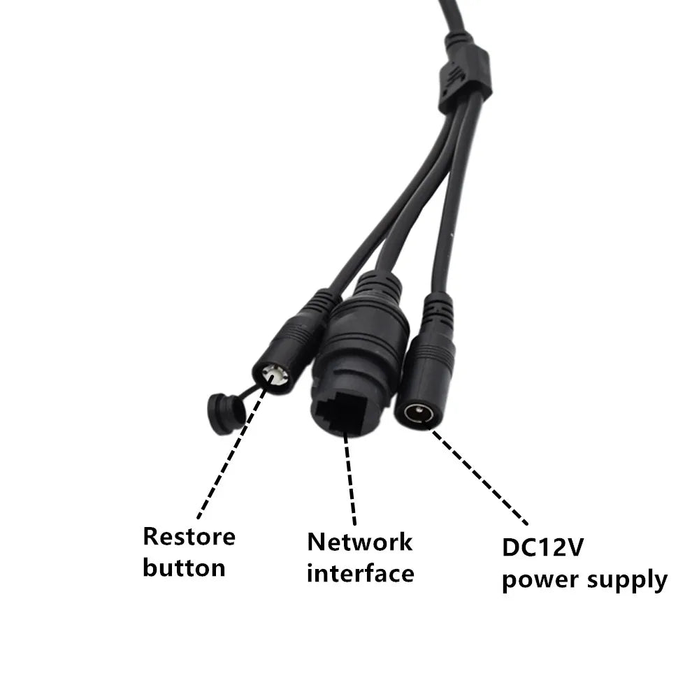 Green WiFi Bird Box Camera Kit with Night Vision