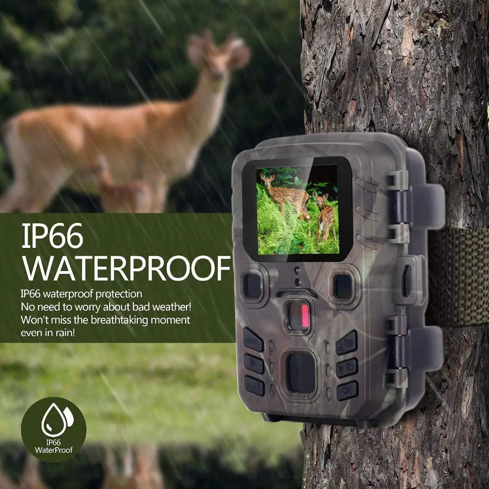 20MP 1080P Trail Camera with Night Vision and IP65 Water Resistance