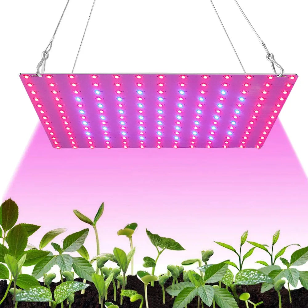 LED Grow-Light Panel, Small/Large Options