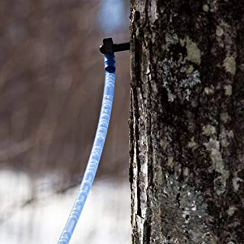 Maple Sap Tapping Kit - Six or Twelve Sets