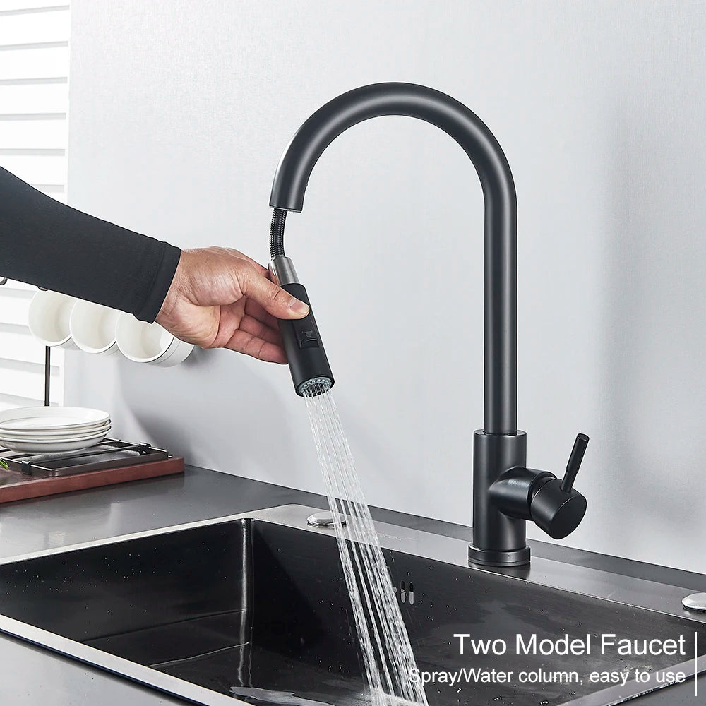 Black Kitchen Faucet with Pull-Out Dual-Function Spray