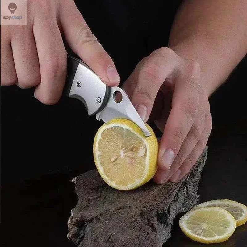 Mini Pocket Knife Stainless Steel Foldable Knife Portable Fruit Slicing Knife Sharp Blade Utility Folding Knife Easy to Carry