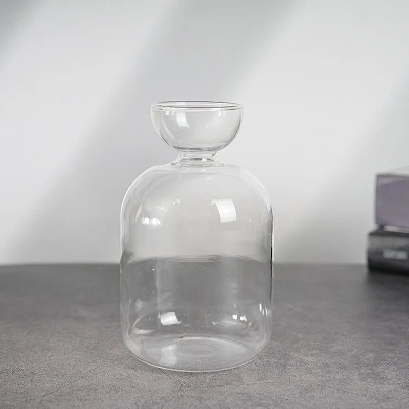 Glass Avocado Seed Starter Vase