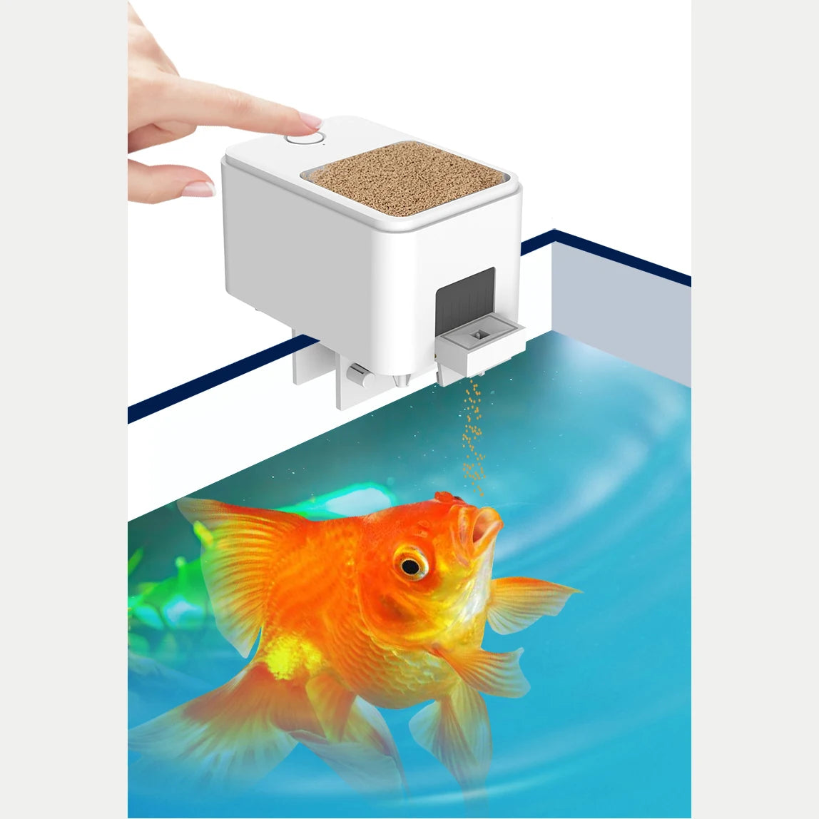 Automatic Fish Feeder, Button and WiFi Versions