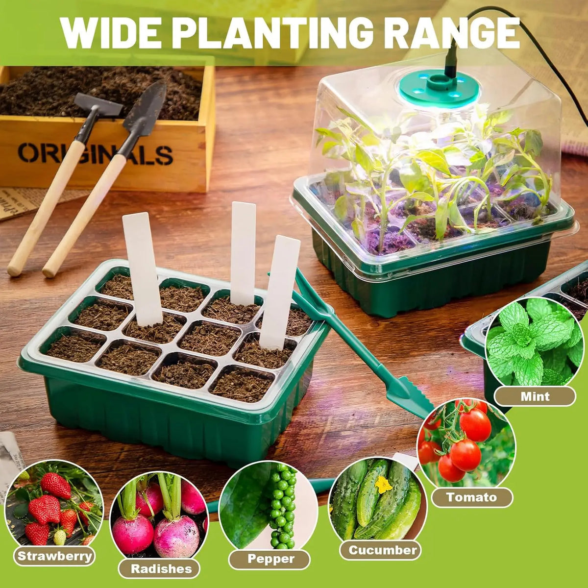Seed Starter Trays with Grow Lights, 2 Pack