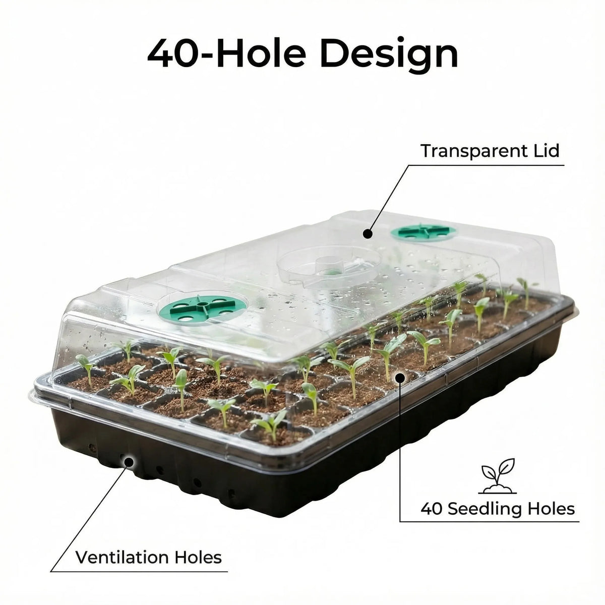 Seed-Starting Trays with Vented Humidity Domes