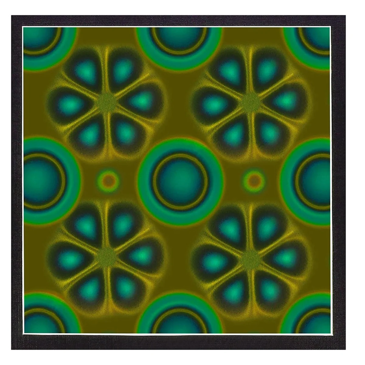Magnetic Field Viewing Film - 10 x 10cm