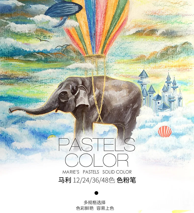 Set artistico di 48 colori di pastelli a gesso morbido