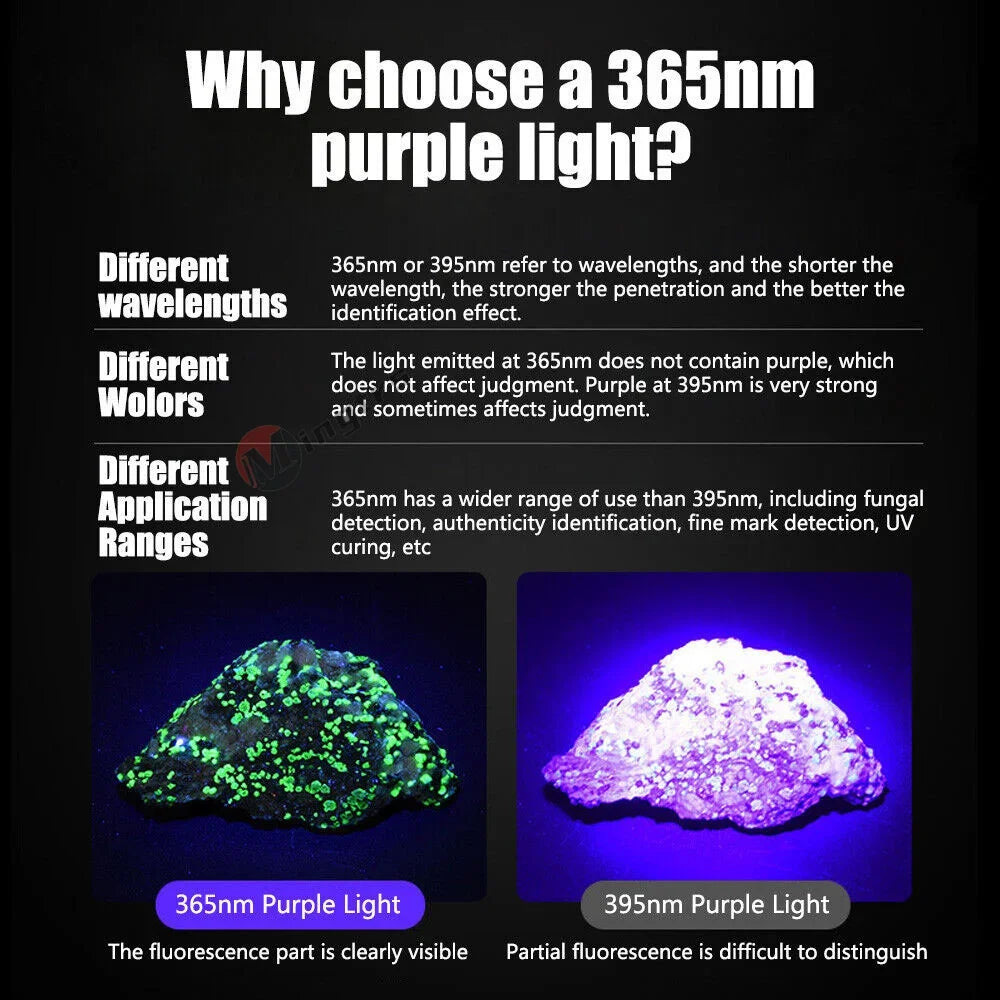 365nm Rechargeable UV Flashlight - Battery Options