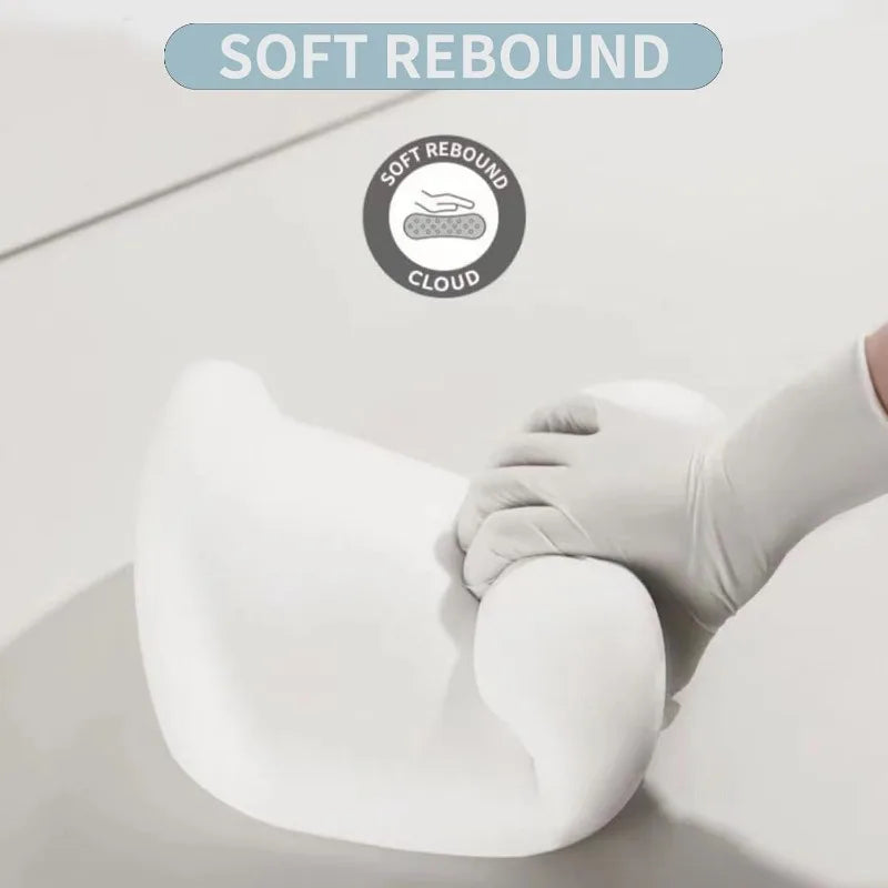 Options de coussin pour appuie-tête et soutien lombaire de voiture