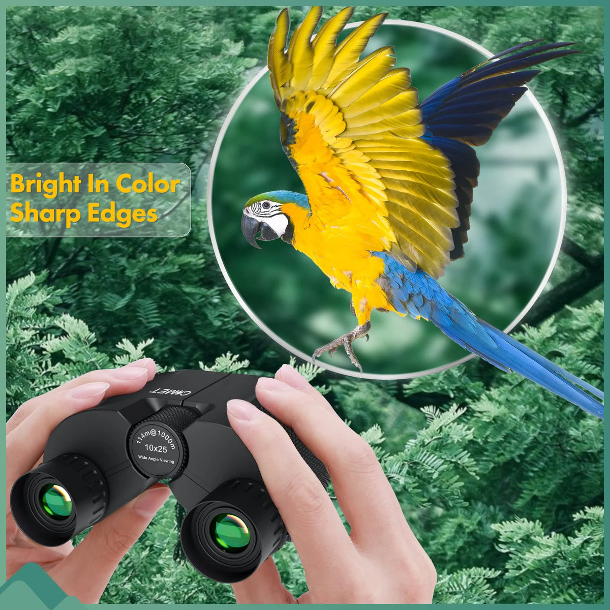 Compact 10x25 Folding Binoculars