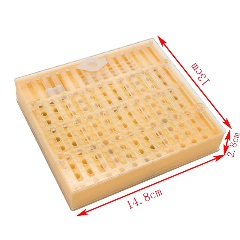 Plastic Queen Rearing Kit for Beekeeping