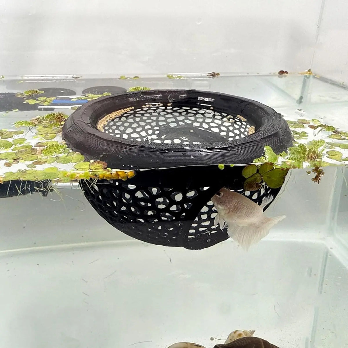 Floating Aquarium Cave with Feeding Ring, S or L