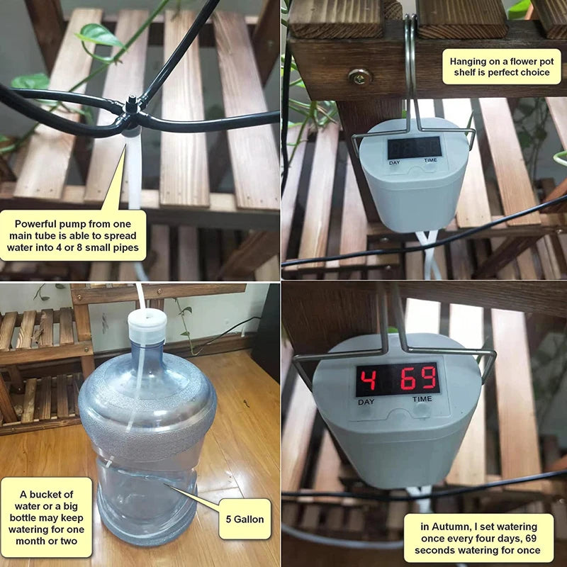 Pompa Automatica per Irrigazione Piante con Timer
