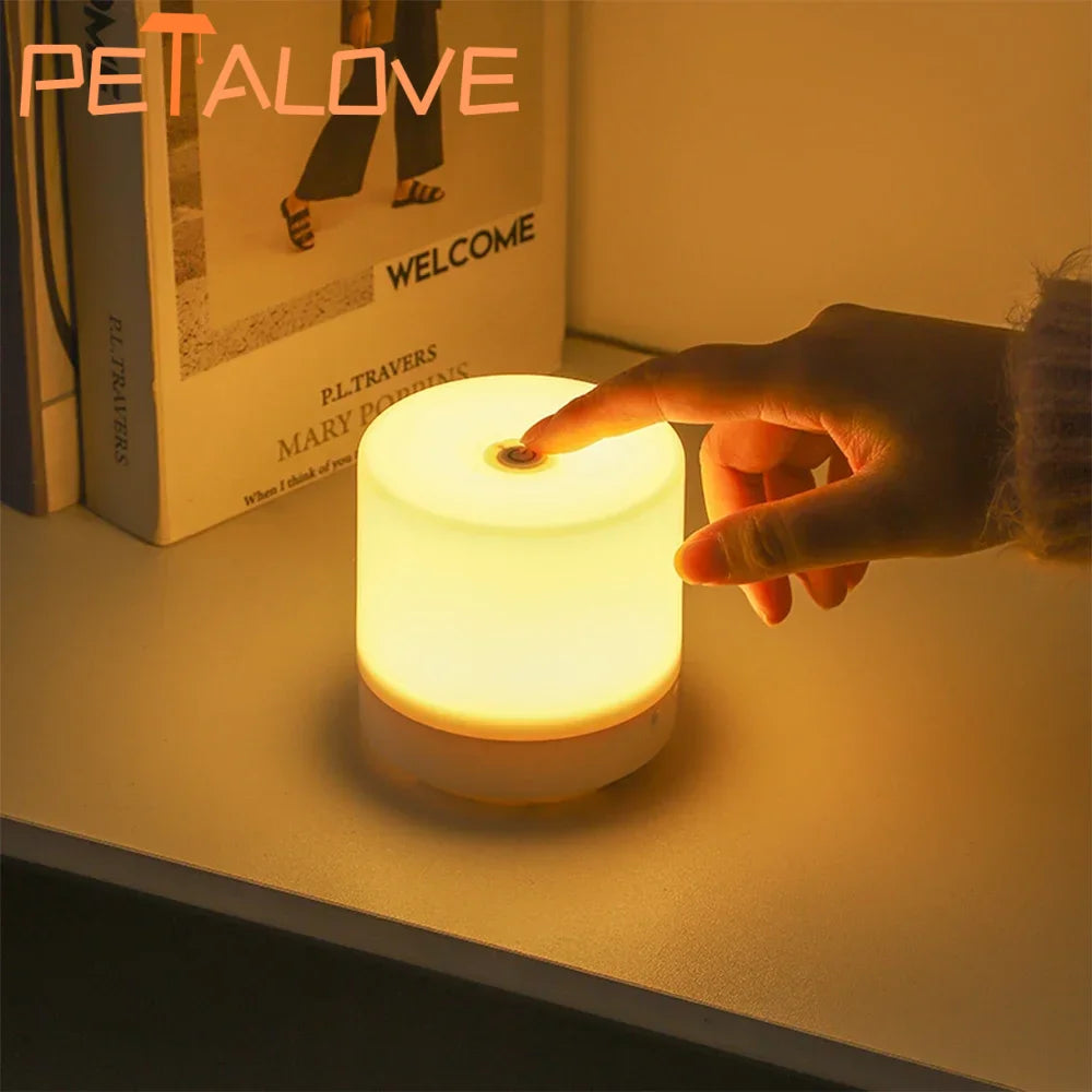 Touch-Control LED Night Light with Three Colours