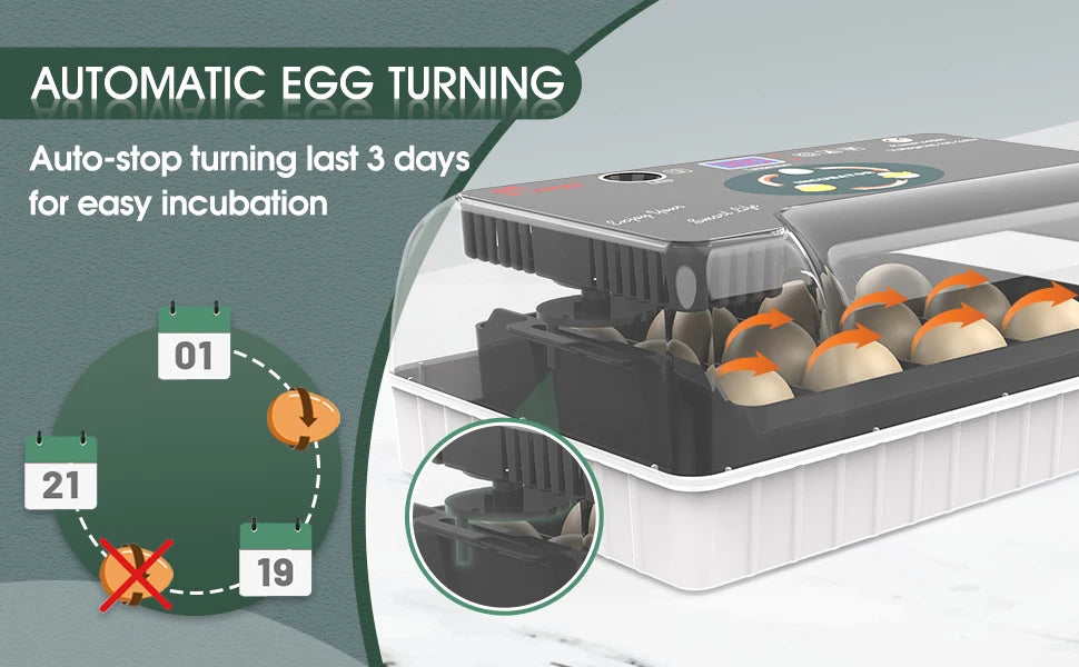 12 Egg Incubator with Auto Turning, Temperature Control & Candler