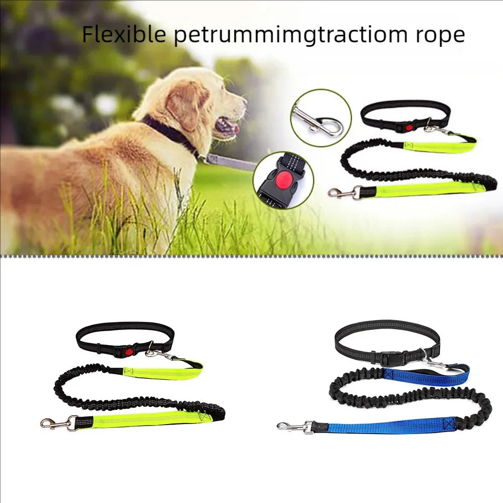 Correa de manos libres para perro con cinturón de cintura ajustable