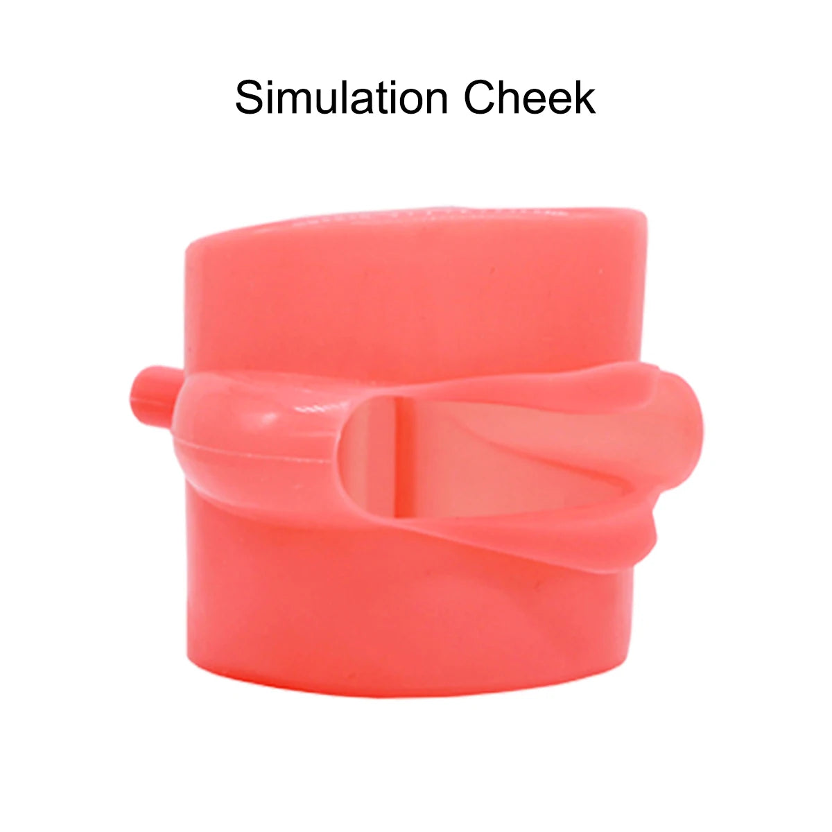 Dental Orthodontic Teaching Models and Cheek Simulator Options