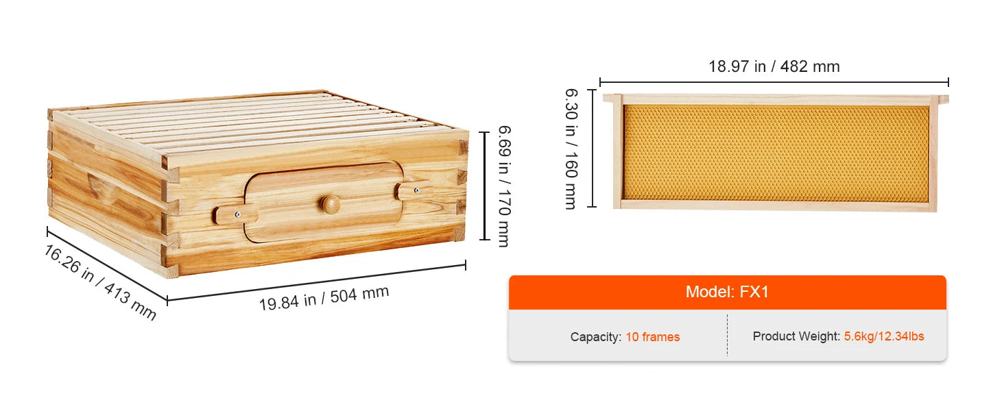 Kit di avviamento SucceBuy Bee Hive Deep Box 100% rivestito di cera d'api Naturale in legno di cedro Langstrothabox Beehive Kit in acrilico trasparente
