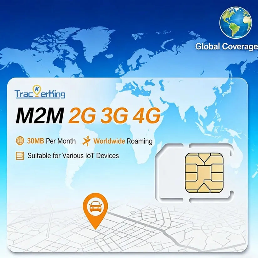 IoT SIM/M2M Data Card, 12 Months at 30 MB per Month