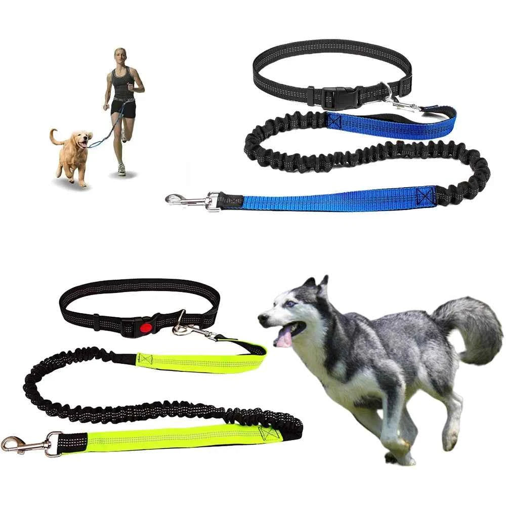 Hands-Free Dog Leash with Adjustable Waist Belt