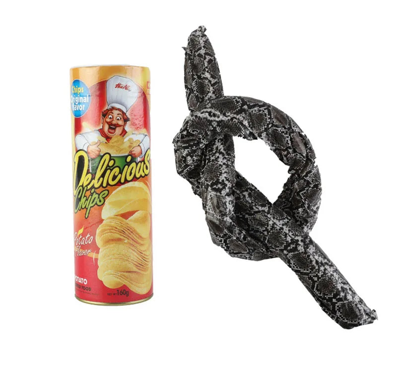 Prank Snake Toy in Potato Chip Can 🐍