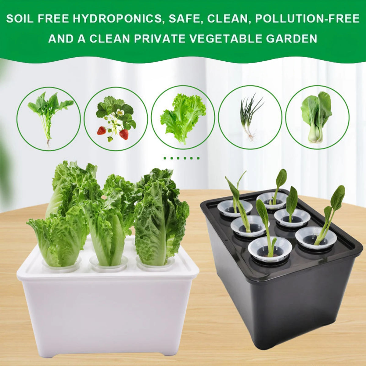Six-Cup Hydroponic Seedling Box