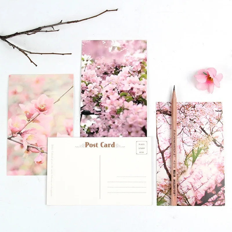 Boxed Illustrated Postcards, 30 Cards, 143 × 93 mm