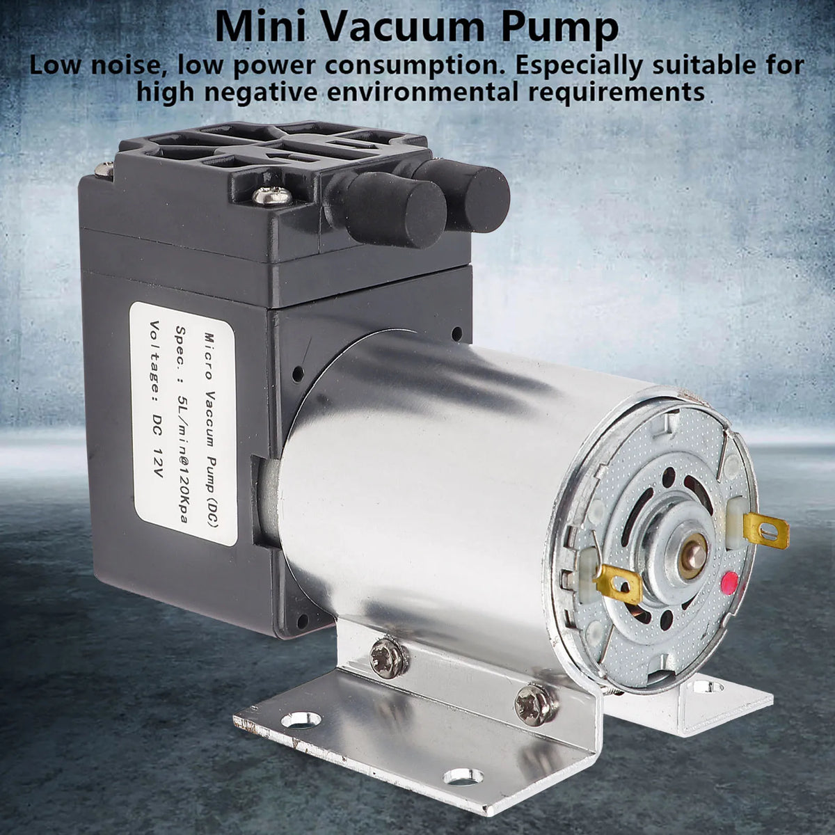 Vakuumpump negativt tryck sugpump DC 12V 5L/min 120kpa mini vakuumpump negativt tryck sugpumpning med hållare