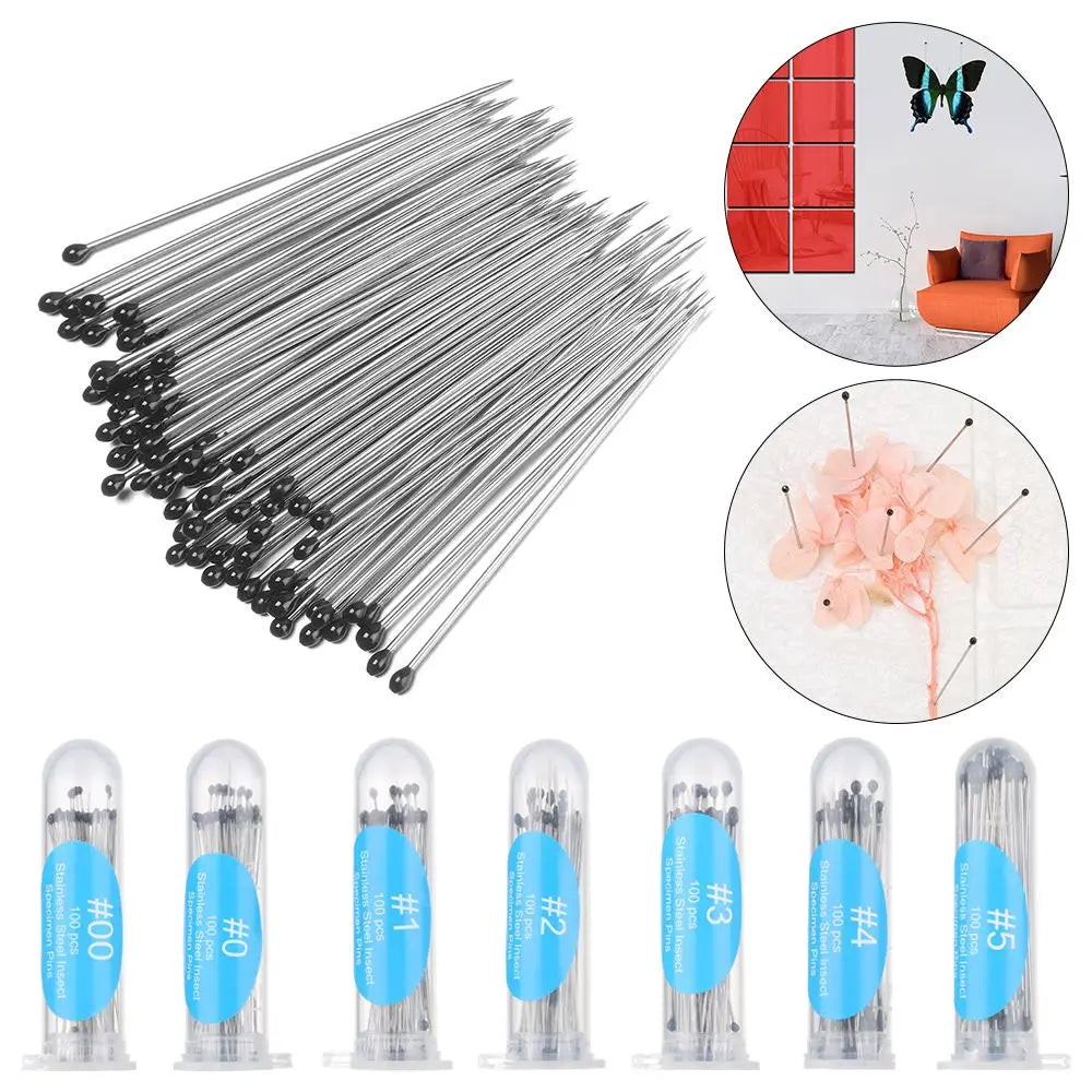 Stainless Steel Insect Specimen Pins - 100 Pieces