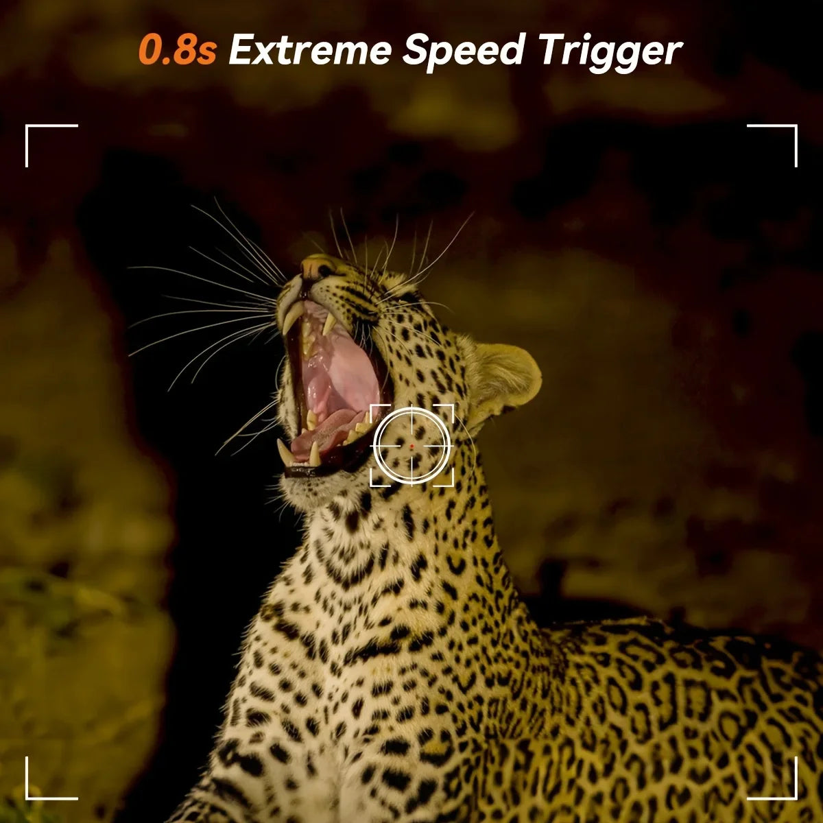Wild Infrared Night Vision Hunting Camera with 16MP 1080P