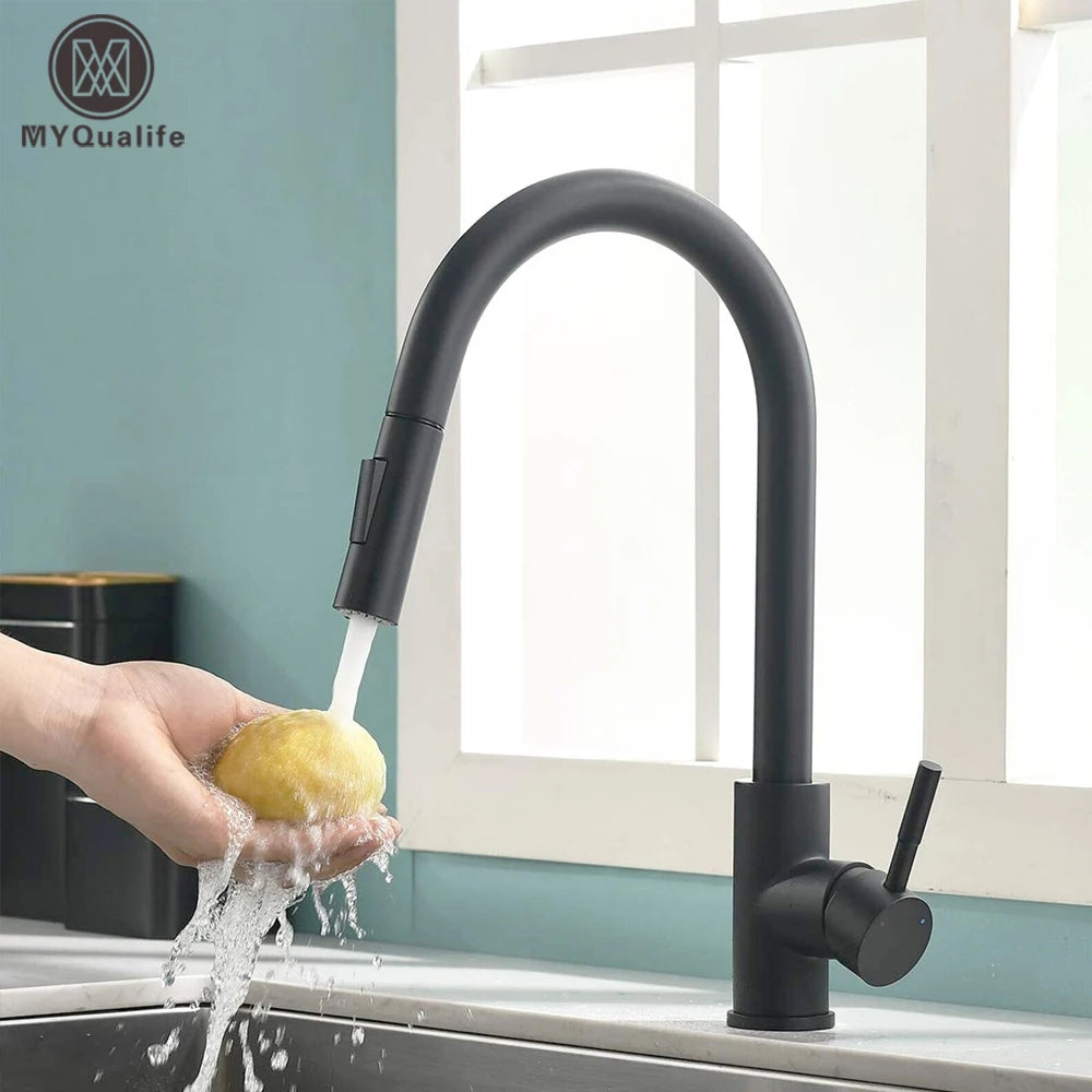 Black Kitchen Faucet with Pull-Out Dual-Function Spray