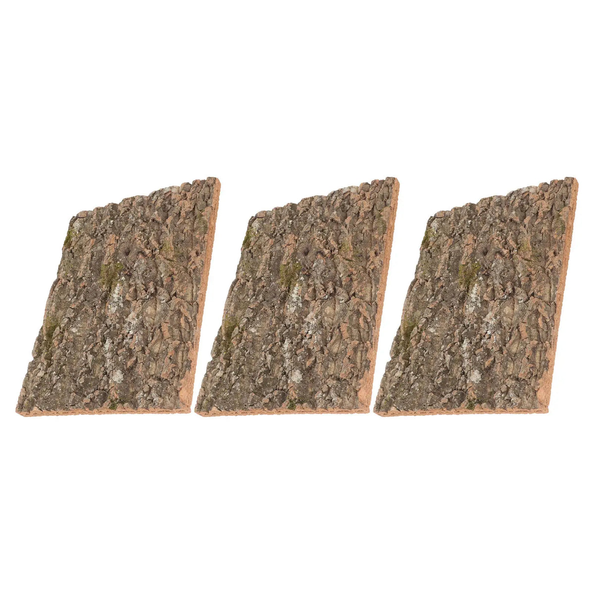 Panouri de fundal pentru terariu din plută — 3 bucăți, 40 × 30 cm