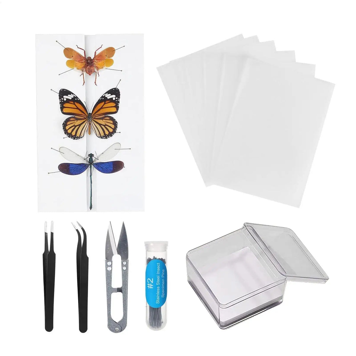 Butterfly Specimen Preparation Tool Kit