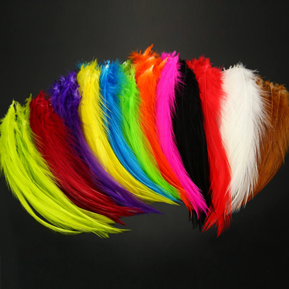Neck Hackle Feathers for Fly Tying