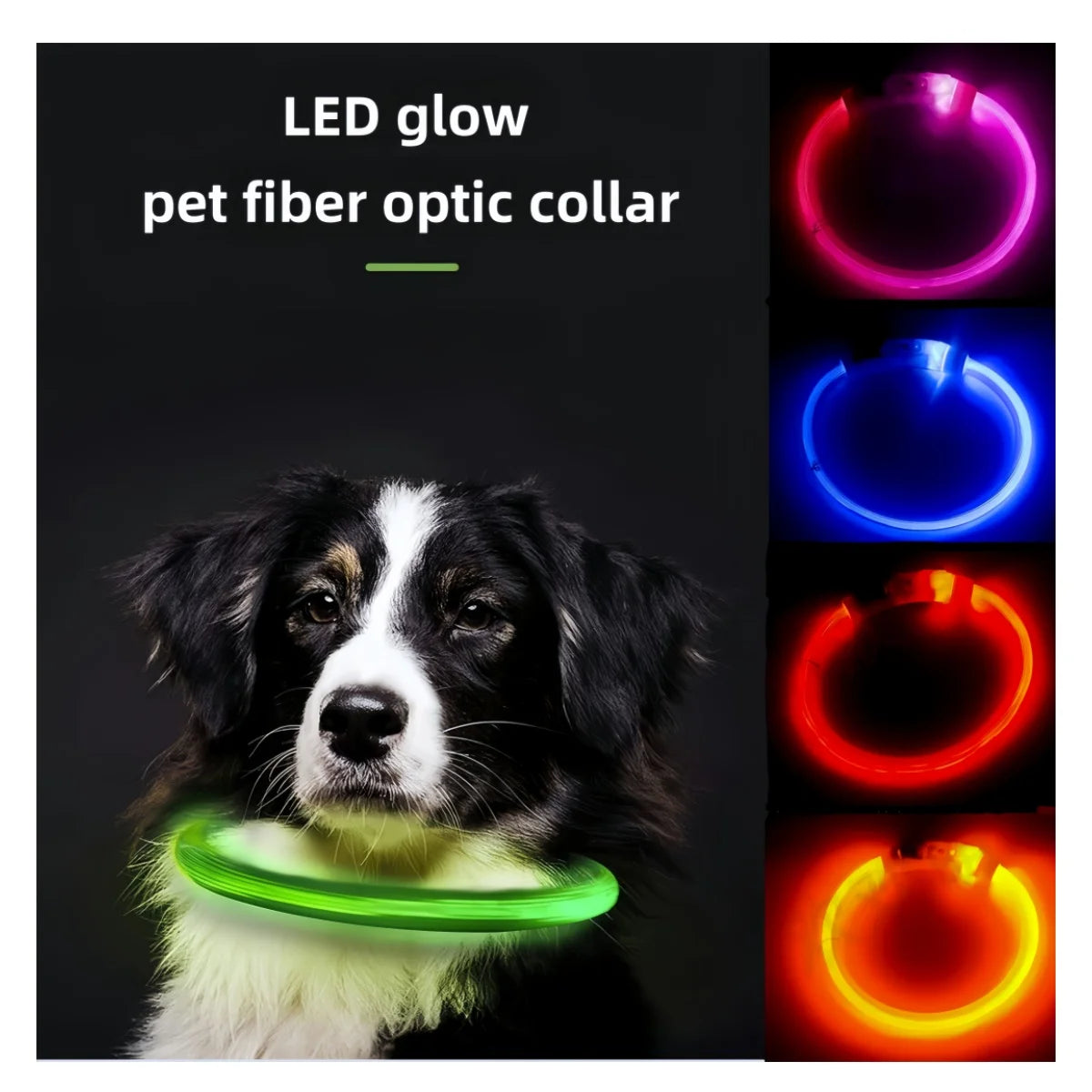 Collar de mascota con LED recargable por USB
