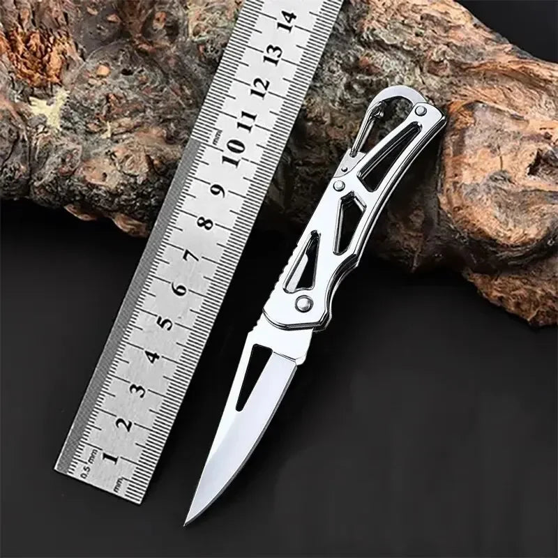 Folding Fruit Knife Stainless Steel Pocket Knife with Keychain Fruit Slicing Knives with Non-slip Handle Household Small Knife