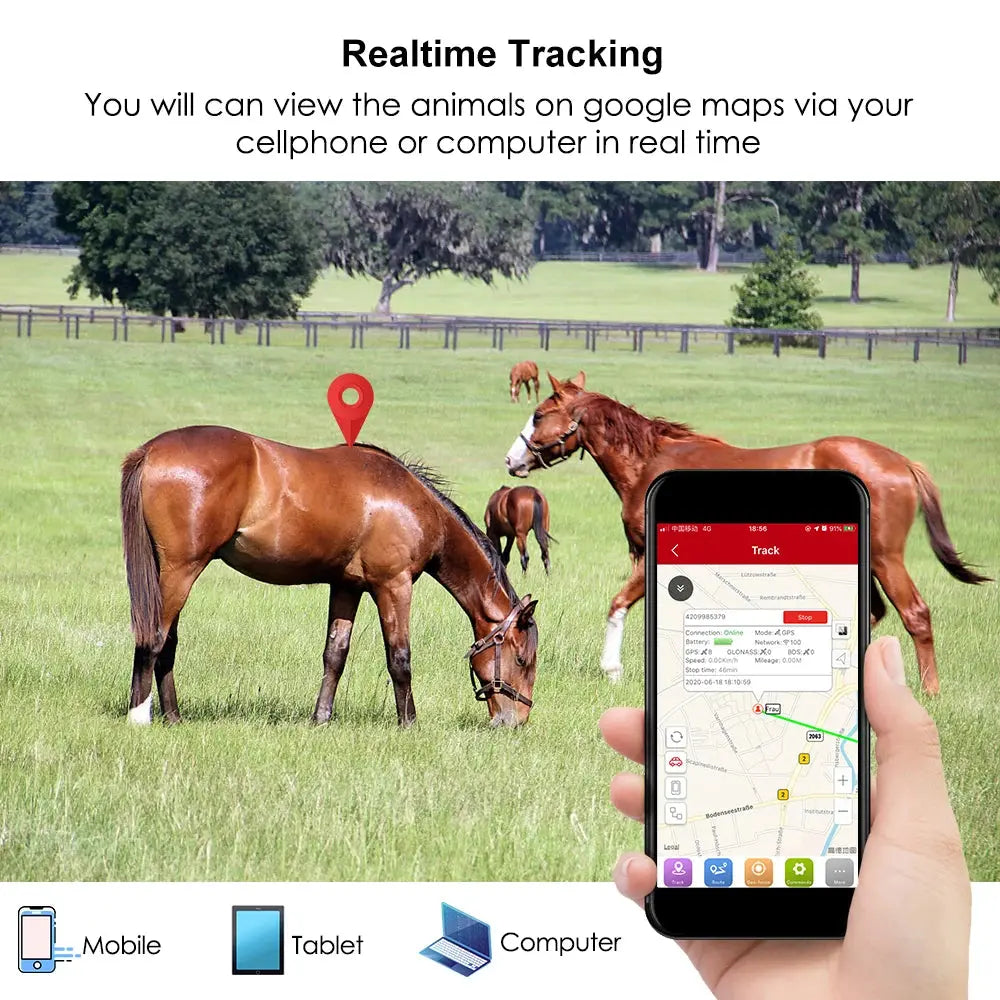 MiCODUS GPS Dog Tracking Device ML935 for Horse Cow Hound 3000mAh Microphone Dog GPS Tracker Geo-fence Free APP PK TKSTAR TK905 Spy-shop.com