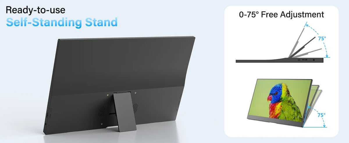 15.6 Inch Portable Monitor 1080P IPS with Speakers