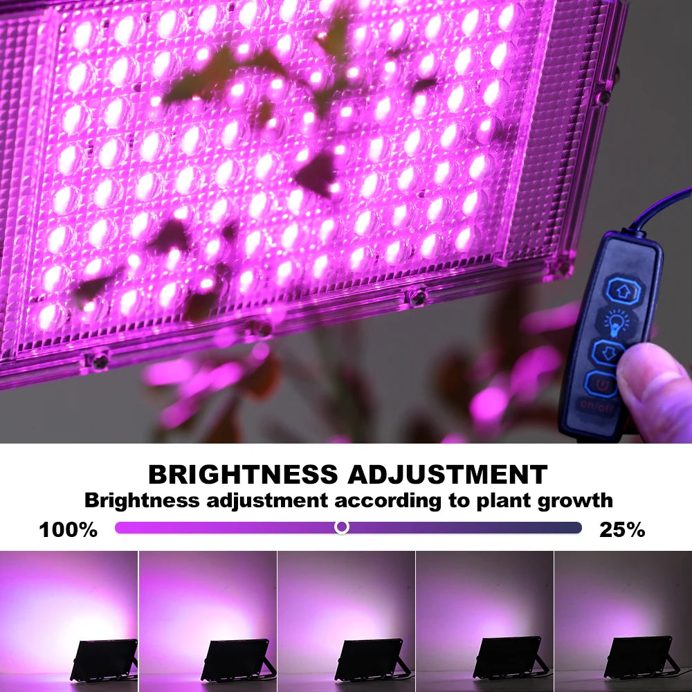Lampada LED per la coltivazione con staffa regolabile, 3 misure