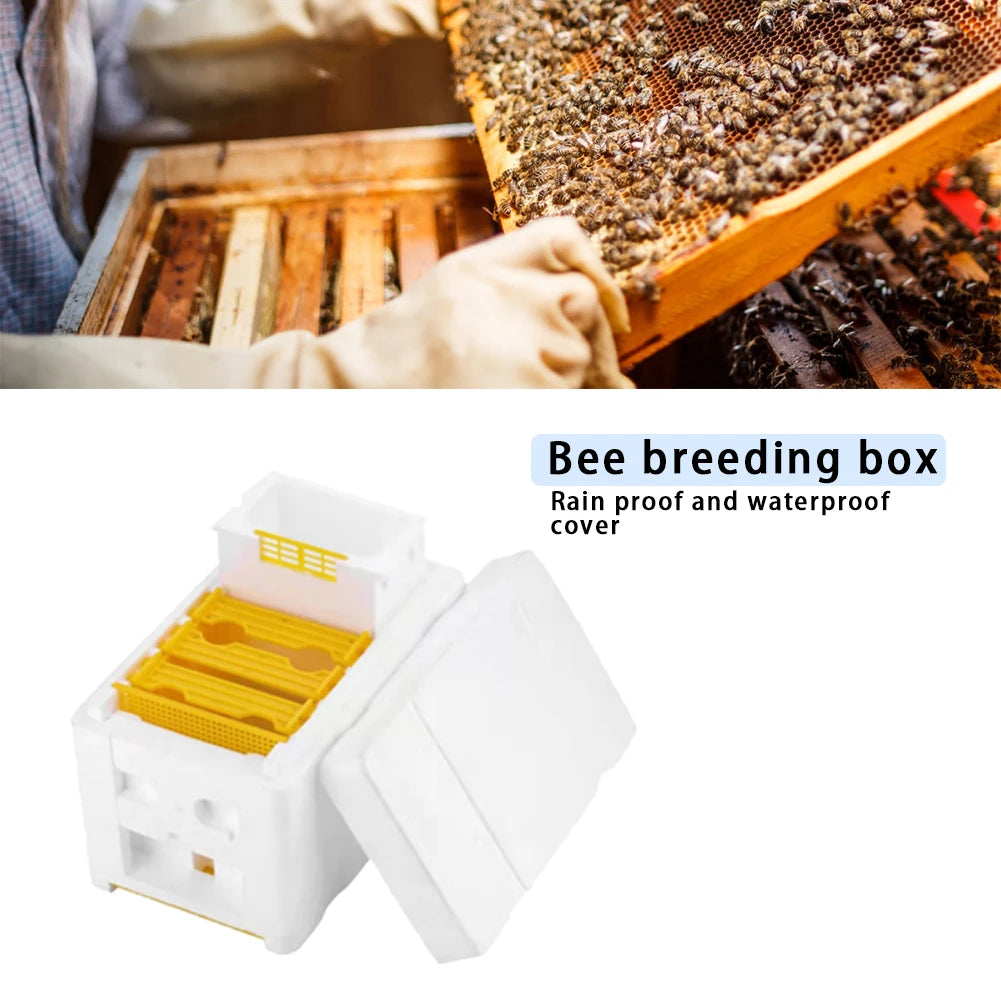 Compact Foam Beekeeping Mating Box