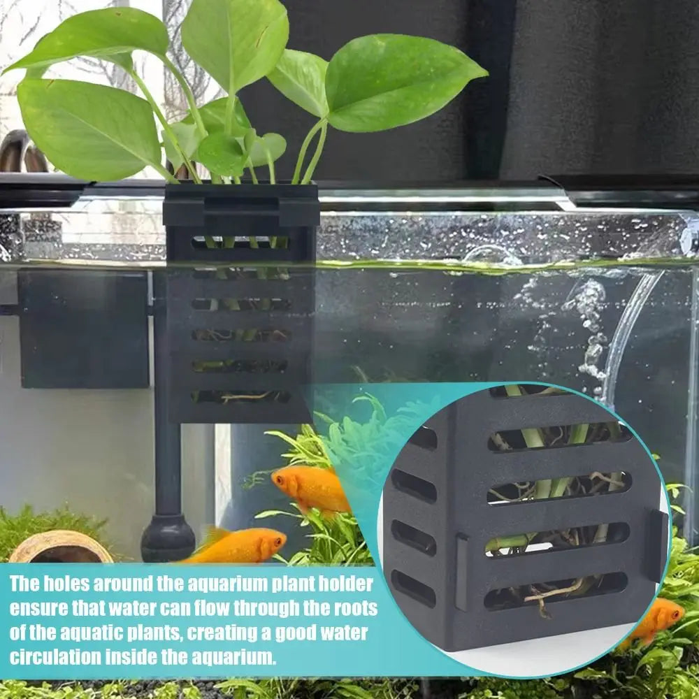 Soporte colgante para plantas de acuario emergidas