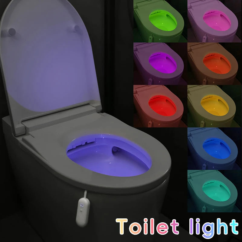 Bewegungsmelder-Nachtlicht für Toilette