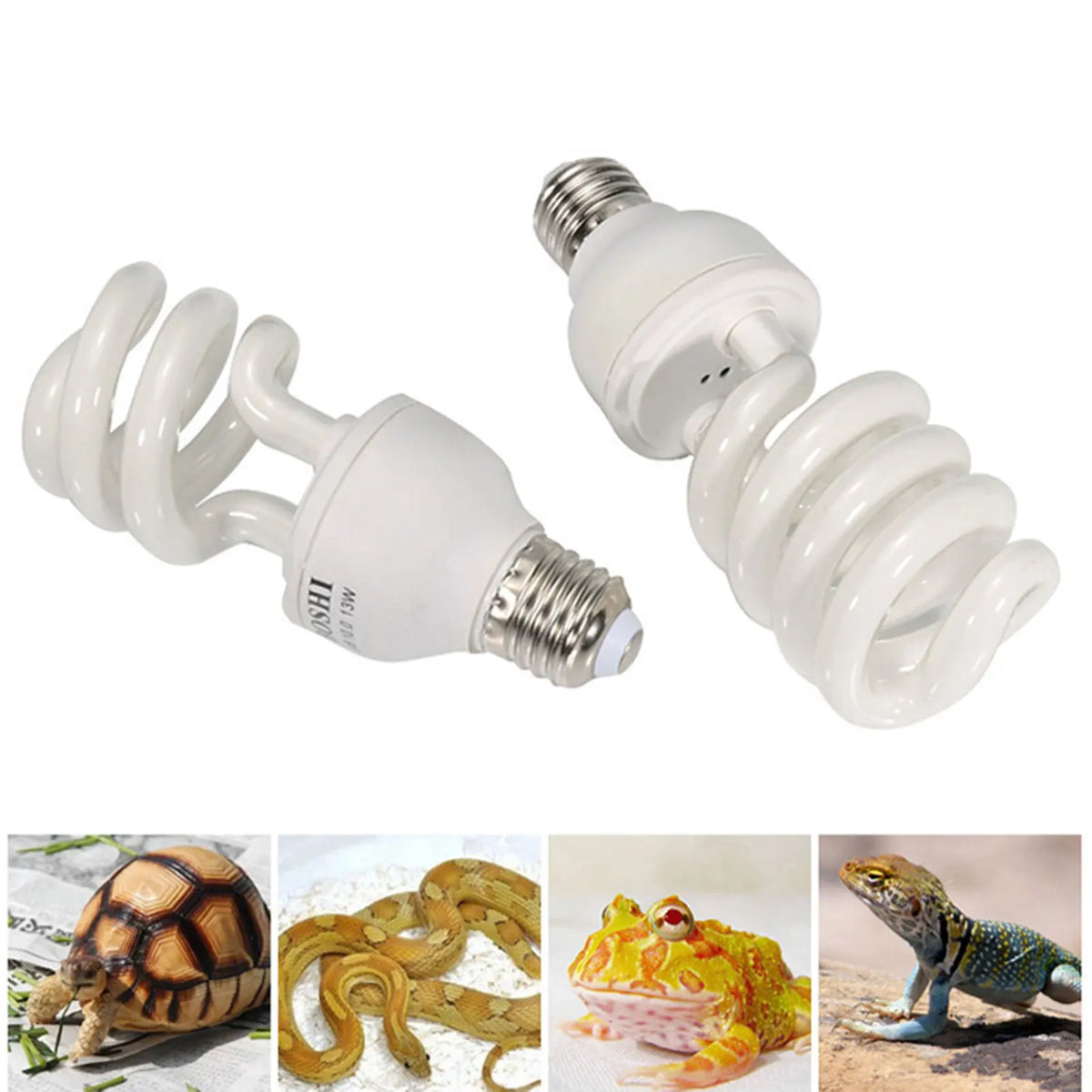 Reptile UVB Heat Bulb, 5.0 or 10.0 UVB, 13 W or 26 W