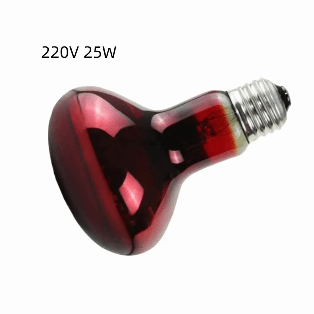 E27 Reptile Basking Bulb, 25–100W Options