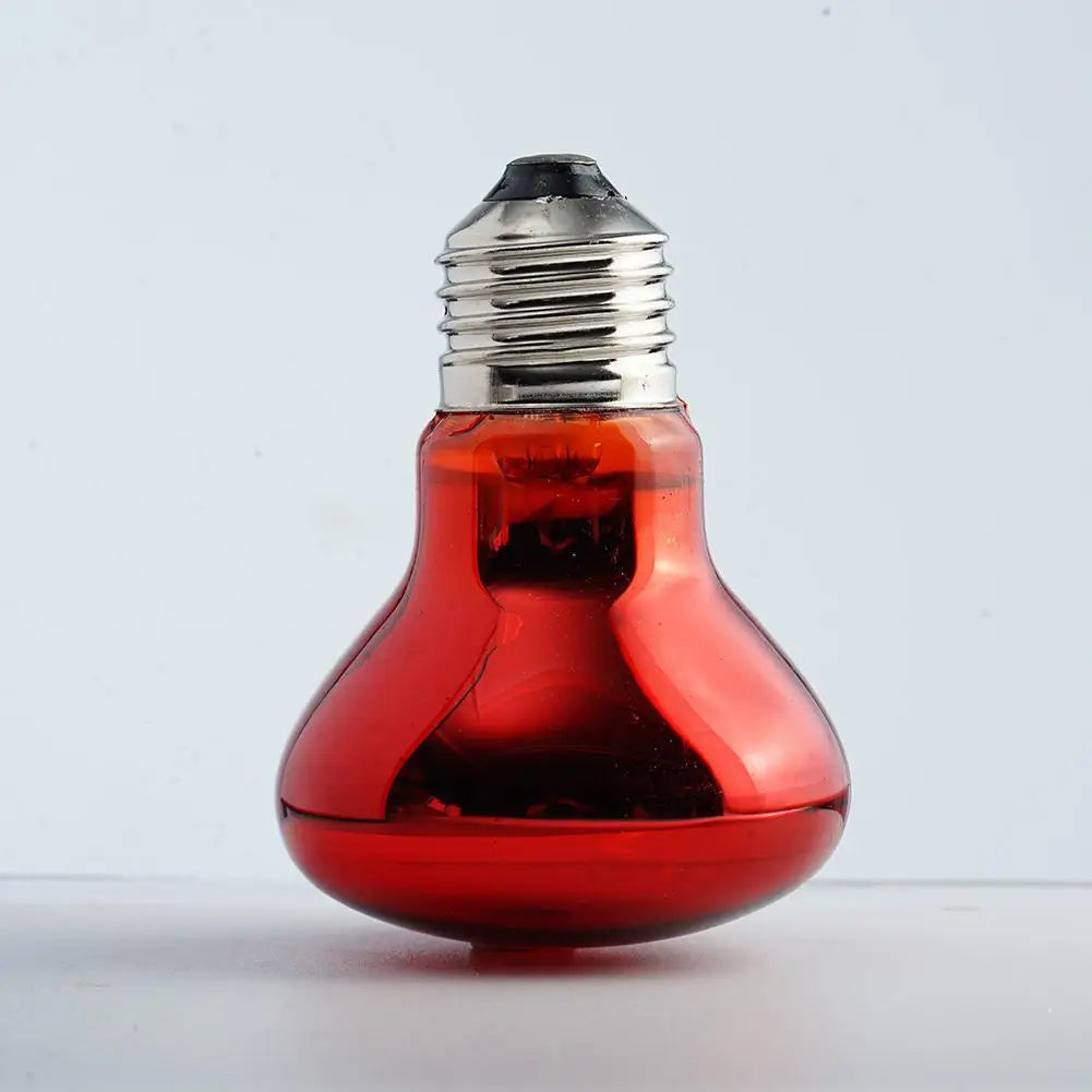 E27 Reptile Heat Bulb, 25–100W Options