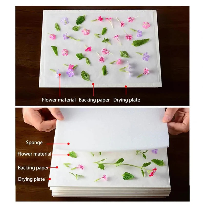 Wooden Flower and Leaf Press Kit, Two Sizes