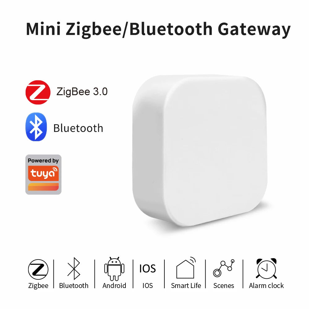 Gateway Tuya - Opzioni Zigbee e Bluetooth